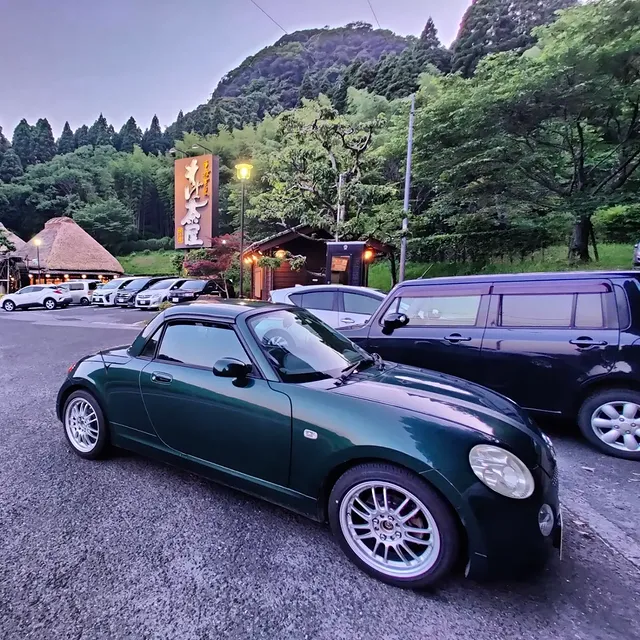 Green Copen